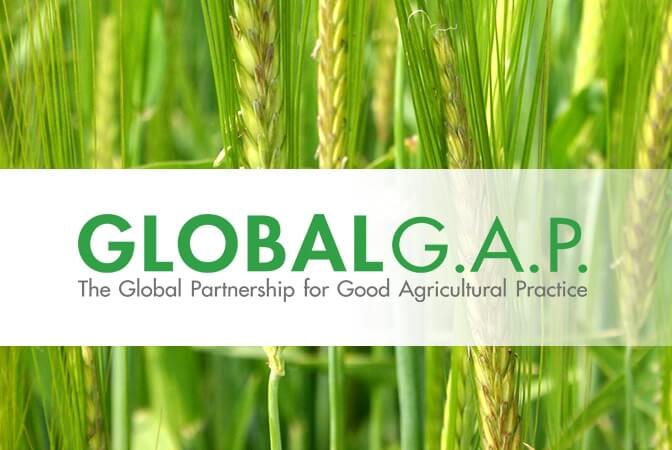 GLOBALG.A.P. certification for good agricultural practice and farm assurance